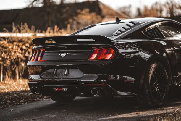 PlaySunny Casino Application Android/iOS